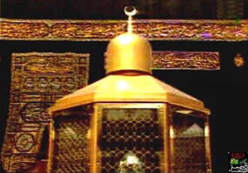 صور متنوعة
