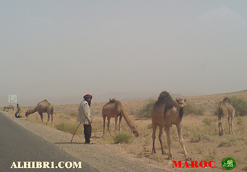 صور متنوعة